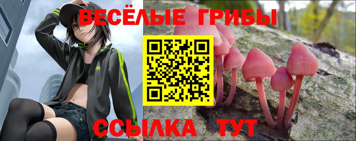 Вятские Поляны  Галлюциногенные грибы мицелий  Вход с VPN  Галлюциногенные грибы Cubensis 